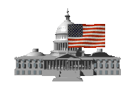 US Capitol with flag flying