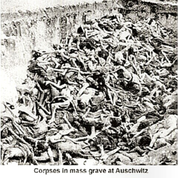 Auschwitz - corpses