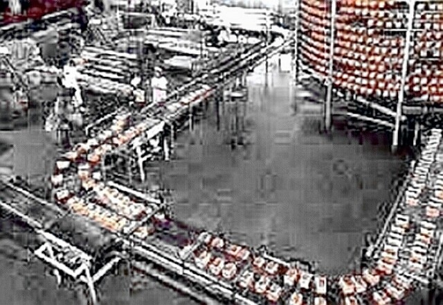 bread loaves on conveyer