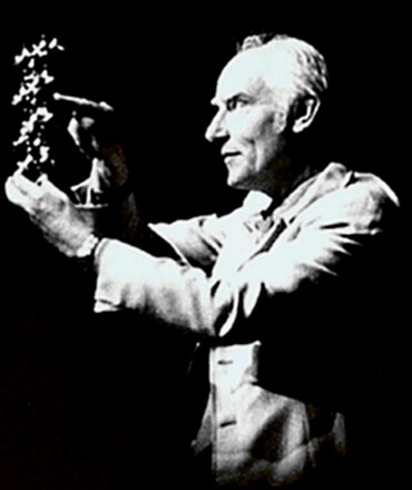 Scientist Francis Crick