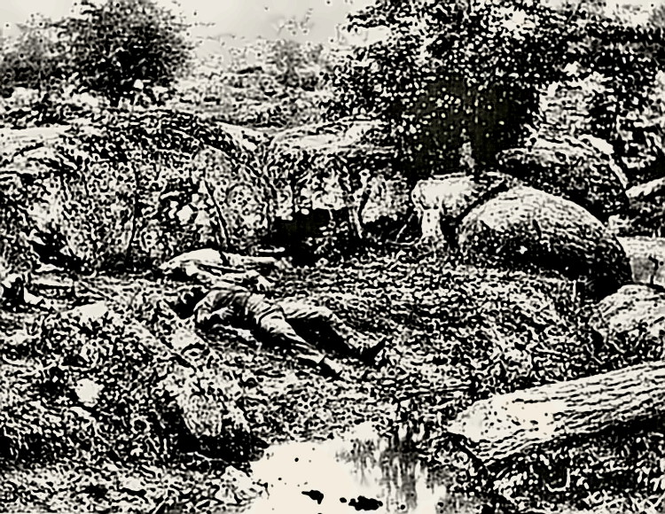 Gettysburg - The Slaughter Pen