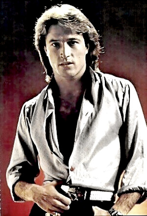 Singer Andy Gibb