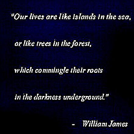William James quote
