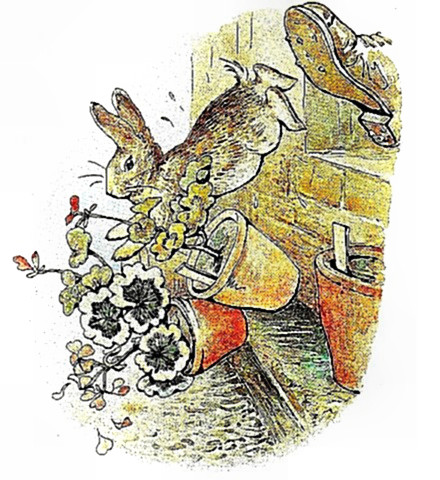 Beatrix Potter's Peter Rabbit Stories