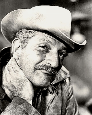 Actor Harold Stone