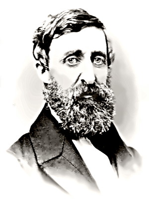 Writer Henry David Thoreau