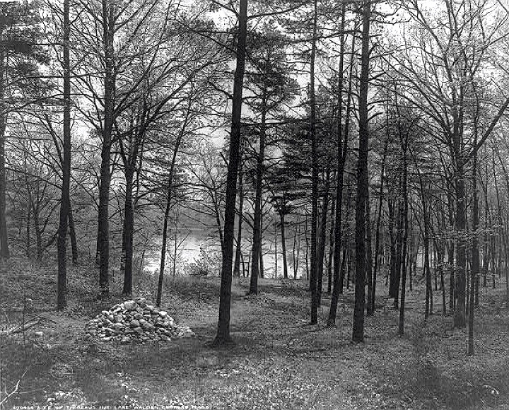 Thoreau's Walden Pond